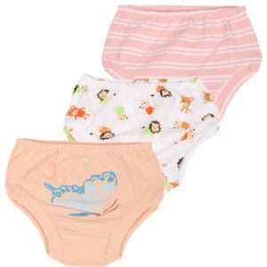 107 – Panties  – Pack of 3